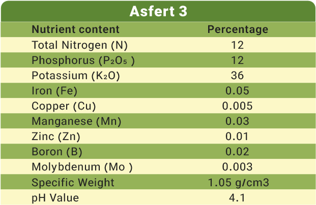 Asfert 3