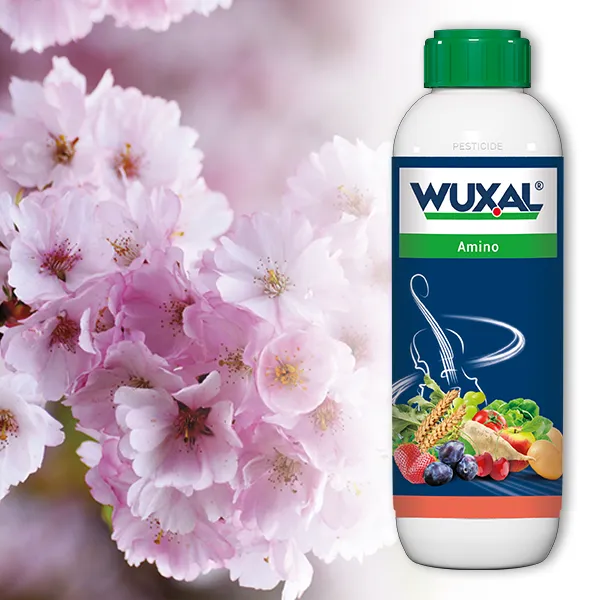 Wuxal® Amino